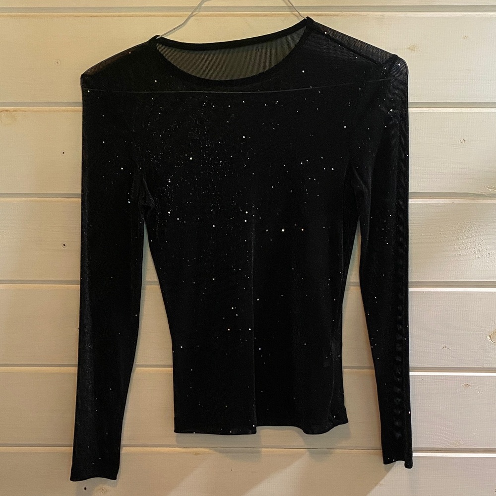 Elegant Shear  Black Long Sleeve Top